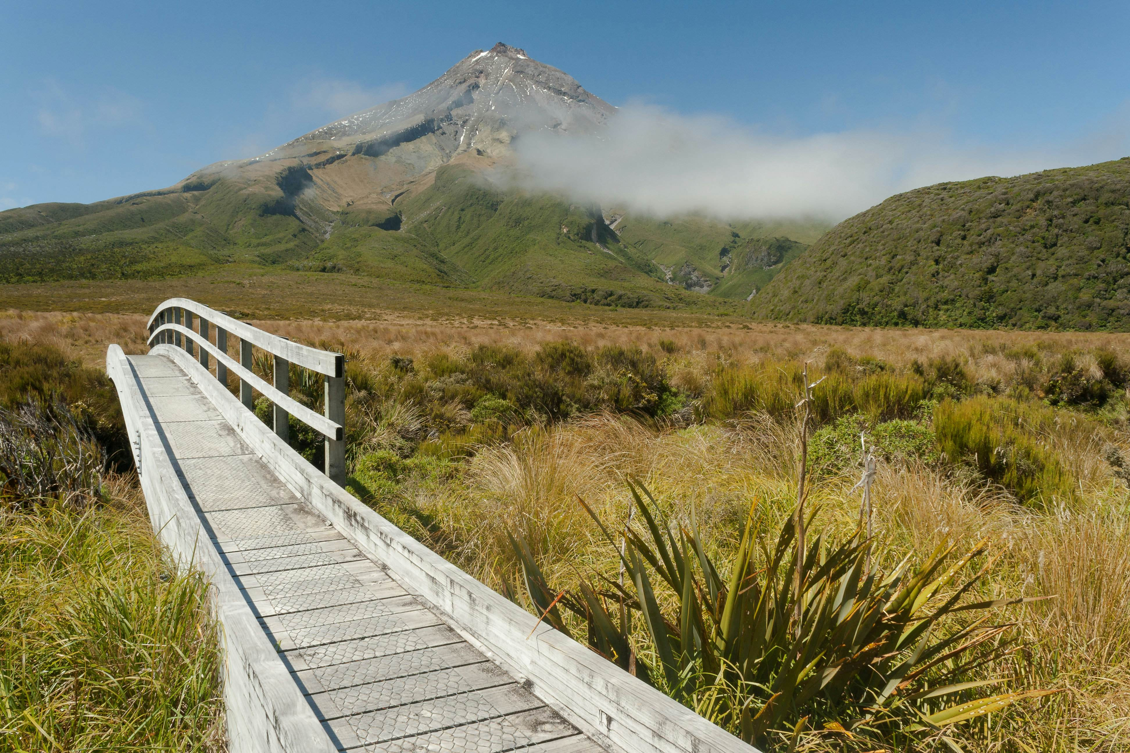 A wooden bridge at Ahukawakawa swamp with mountains in the distance, representing accessible trails and inclusive public transport.