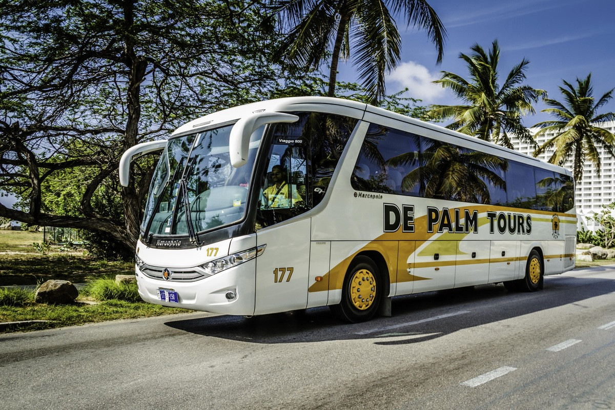 Shared transfer bus for Aruba airport transportation