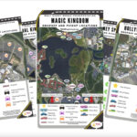 Disney World Transportation System Graphic