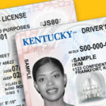 Kentucky License Renewal
