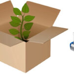 Plant in a cardboard box with a tape dispenser.