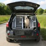 Dog in crate in car.