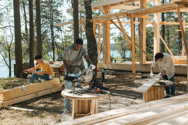 dismantling a shed