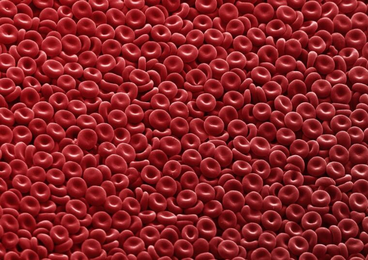 Red blood cells