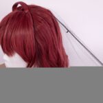 wig with hair net